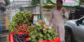 جموںکشمیر میں مزید بارشوں کی پیش گوئی‘۲؍اگست تک فلیس فلڈ کا الرٹ جاری