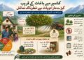 کشمیر کے باغات کے قریب رہائشی علاقوں کو کیڑے مار ادویات سے خطرہ، تحقیق میں انکشاف