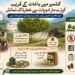 کشمیر کے باغات کے قریب رہائشی علاقوں کو کیڑے مار ادویات سے خطرہ، تحقیق میں انکشاف