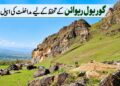 گوریول ریوائن کے تحفظ کے لیے چیف سیکریٹری سے فوری مداخلت کی اپیل