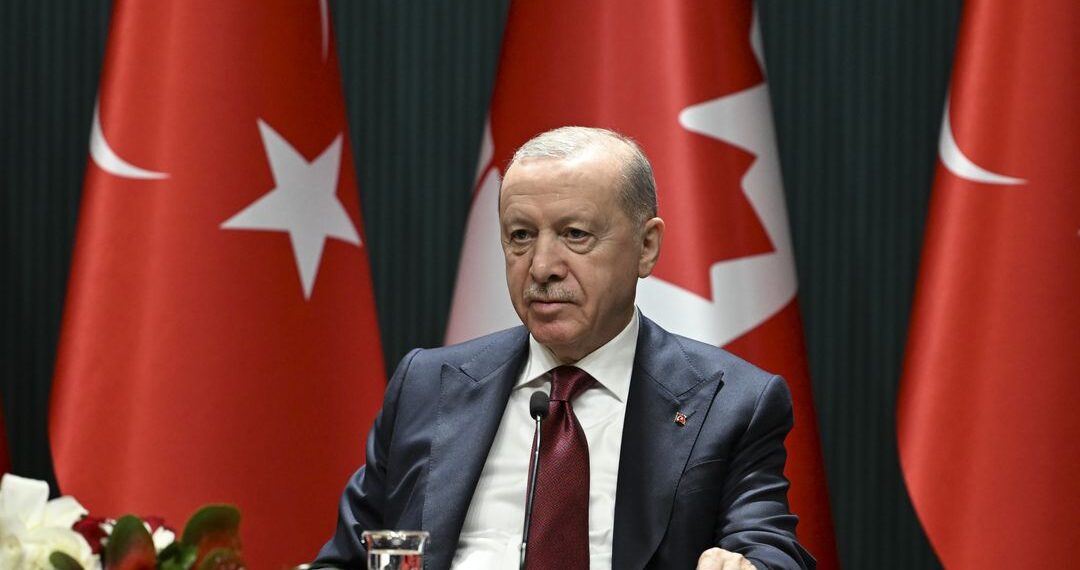 ایردوان: اقوام متحدہ کی سلامتی کونسل کو زیادہ منصفانہ اور جامع بنایا جانا چاہیے