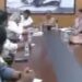 انڈیا اتحاد کی ریلی سے پہلے کھرگے کی رہائش گاہ پر میٹنگ